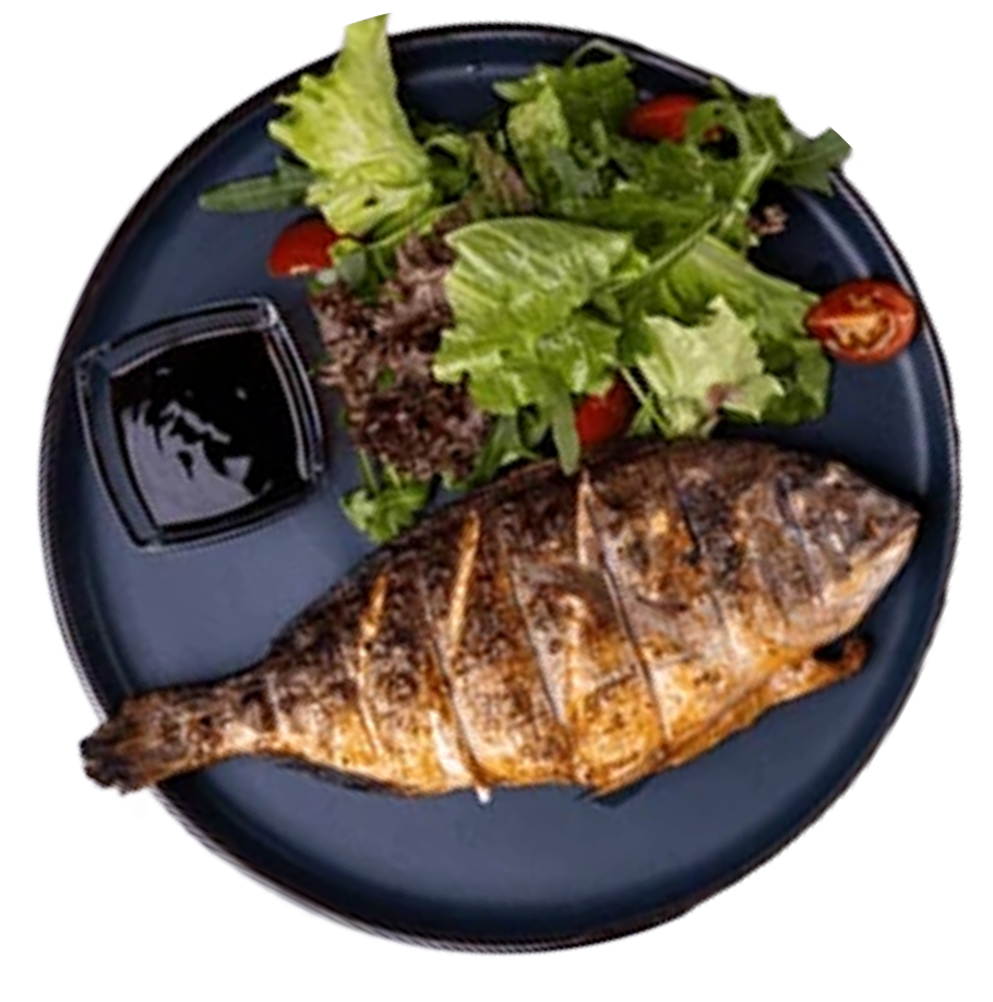 Fish plate